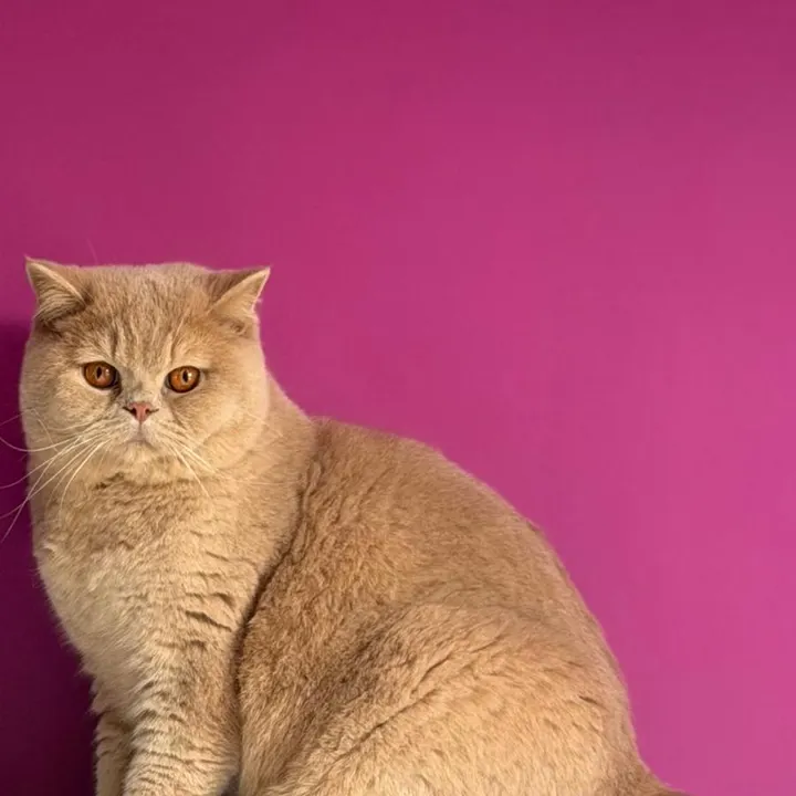 Un de nos anciens bébés
